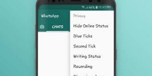 privacy options in gbwhatsapp apk.