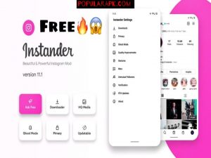 instander is a beautiful and powerful instagram mod.