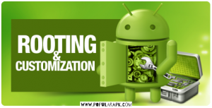 rooting and customization android devices
