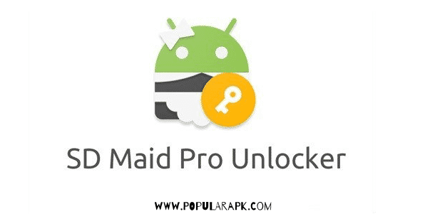 sd maid pro apk cover pic.