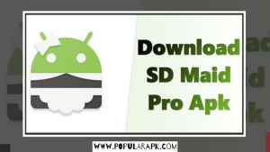 download sd maid pro apk now.