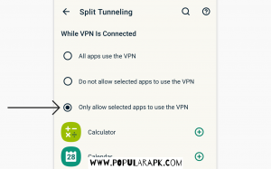 allow selected apps to use the vpn