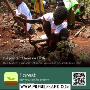 plant trees with forest apk