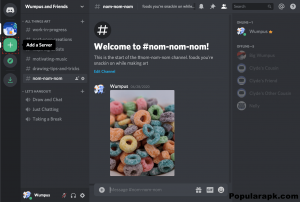 people like about discord premium apk