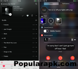 supports the online music streaming apps and shows you the floating lyrics with a unique widget.
