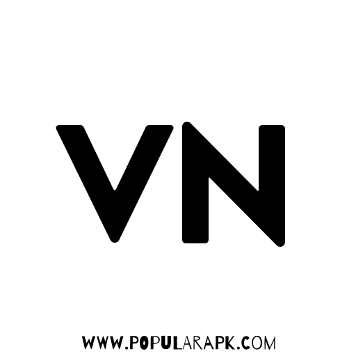 VN editor vlognow logo.