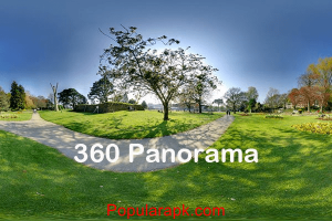 panorama view with tree