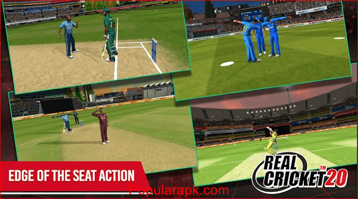 see edge of the seat action in real cricket 20 mod apk