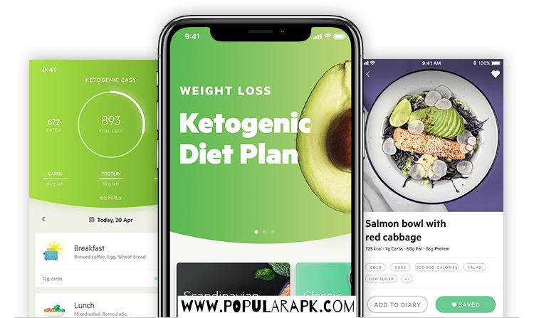 ketogenic diet plan