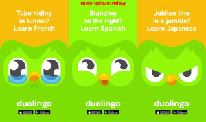 learn french, spanish, japanese and more.