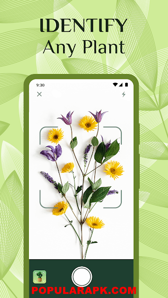 You can identify any plant with NatureID mod apk.