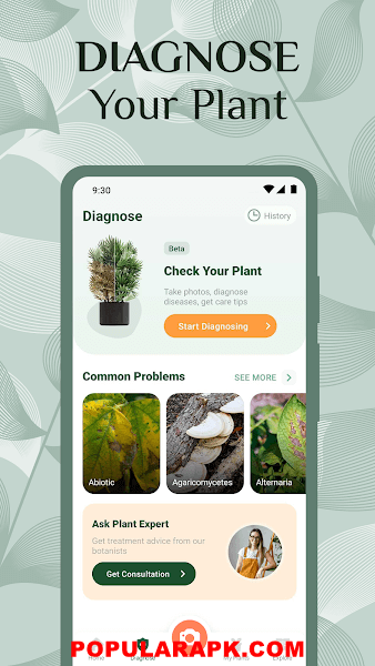 diagnose your plant.