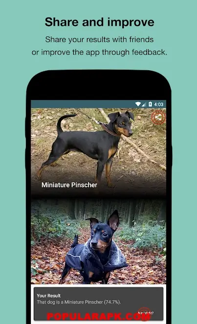 by using dog scanner app you can share your search results to get quick response.