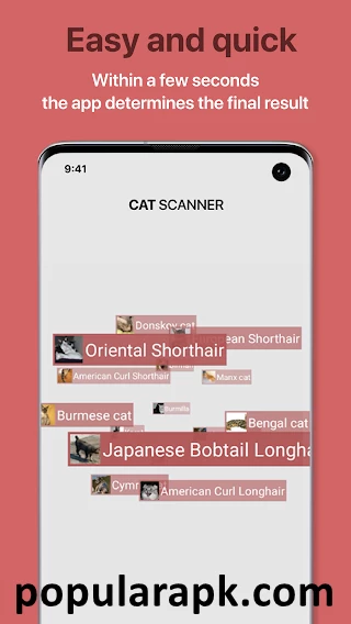 cat scanner mod apk is so fast it gives answers in a few seconds.