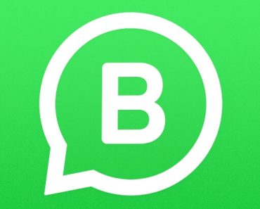 this is the official logo of whatsapp business apk.